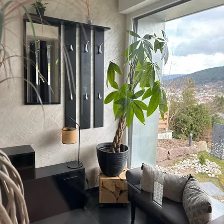 La Ruche Bel Avec Terrasse, Magnifique Vue , 2 Apartment Gerardmer